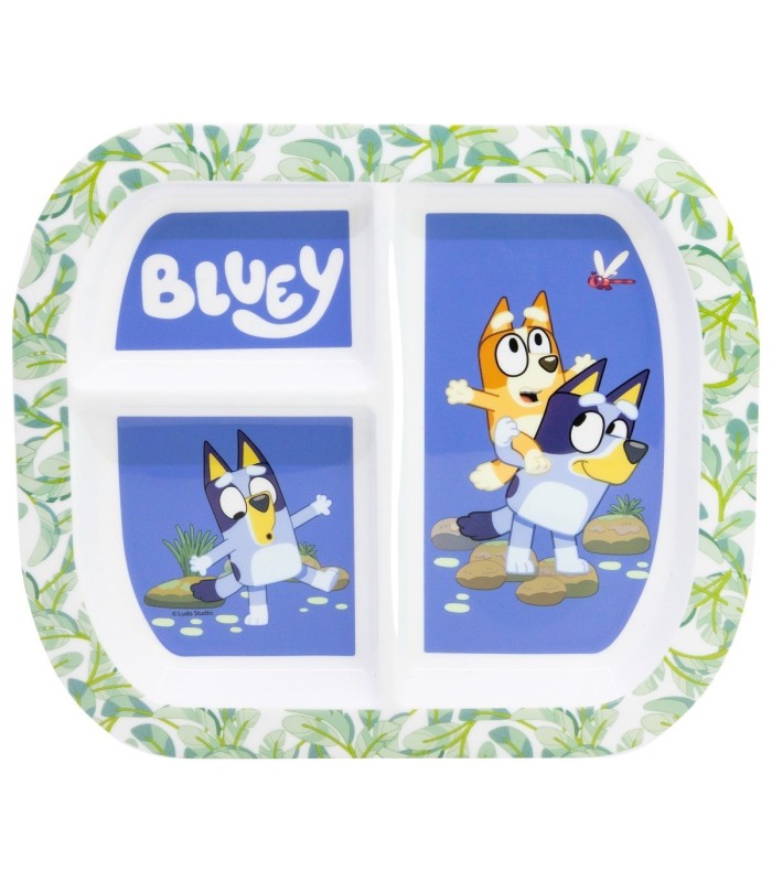 RECTANGULAR DIVIDED PLATE ST BLUEY