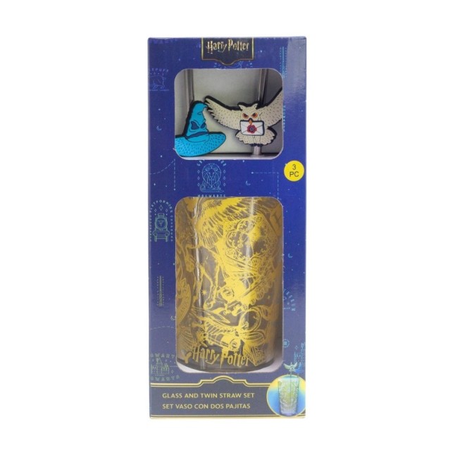 GLASS & TWIN STRAW SET 480 ML HARRY POTTER MAGIC & MAYHEM