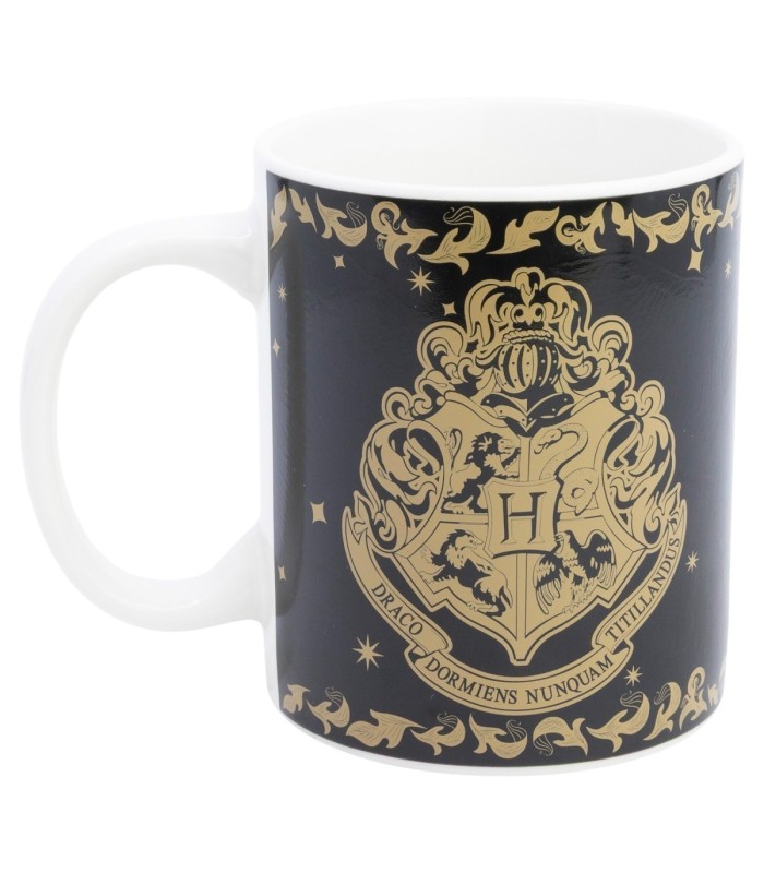 CERAMIC CHANGING COLOR MUG 11 OZ IN GIFT BOX HARRY POTTER MAGIC & MAYHEM