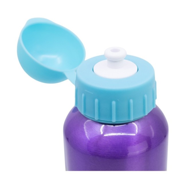 HIGH ALUMINIUM BOTTLE 530 ML PRINCESS COURAGEOUS HEART