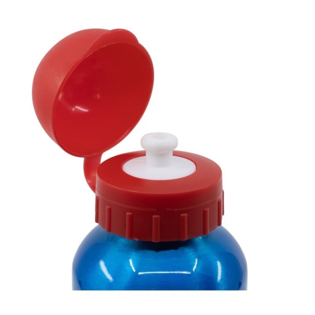 HIGH ALUMINIUM BOTTLE 530 ML SUPER MARIO