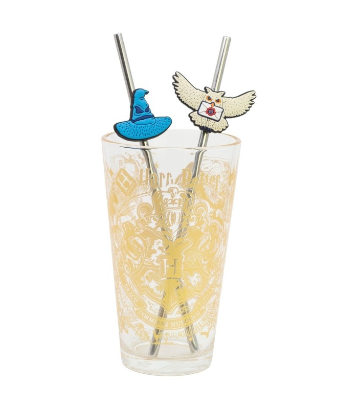 GLASS & TWIN STRAW SET 480 ML HARRY POTTER MAGIC & MAYHEM