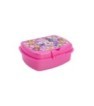 URBAN SANDWICH BOX MINNIE BOLD FLORALS