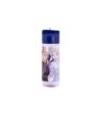 LARGE ECOZEN HYDRO BOTTLE 540 ML FROZEN TRUST THE JOURNEY