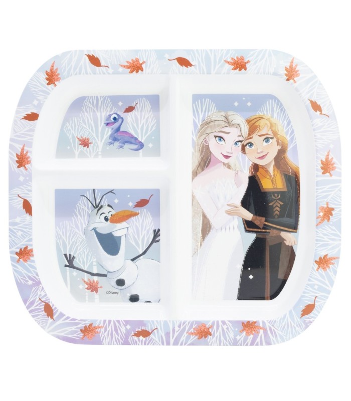 RECTANGULAR DIVIDED PLATE ST FROZEN AUTUM LEAVES