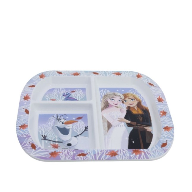 RECTANGULAR DIVIDED PLATE ST FROZEN AUTUM LEAVES