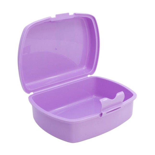 URBAN SANDWICH BOX FROZEN AUTUM LEAVES