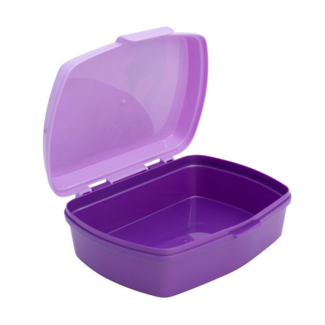 FUNNY SANDWICH BOX FROZEN AUTUM LEAVES