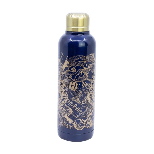 INSULATED STAINLESS STEEL BOTTLE 515 ML HARRY POTTER MAGIC & MAYHEM