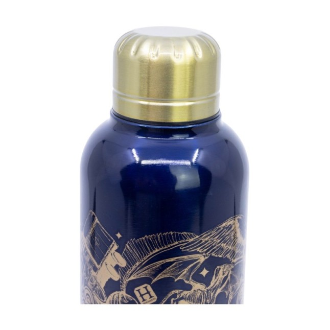 INSULATED STAINLESS STEEL BOTTLE 515 ML HARRY POTTER MAGIC & MAYHEM