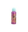 HIGH ALUMINIUM BOTTLE 530 ML PAW PATROL GIRL SUPERPOWERS