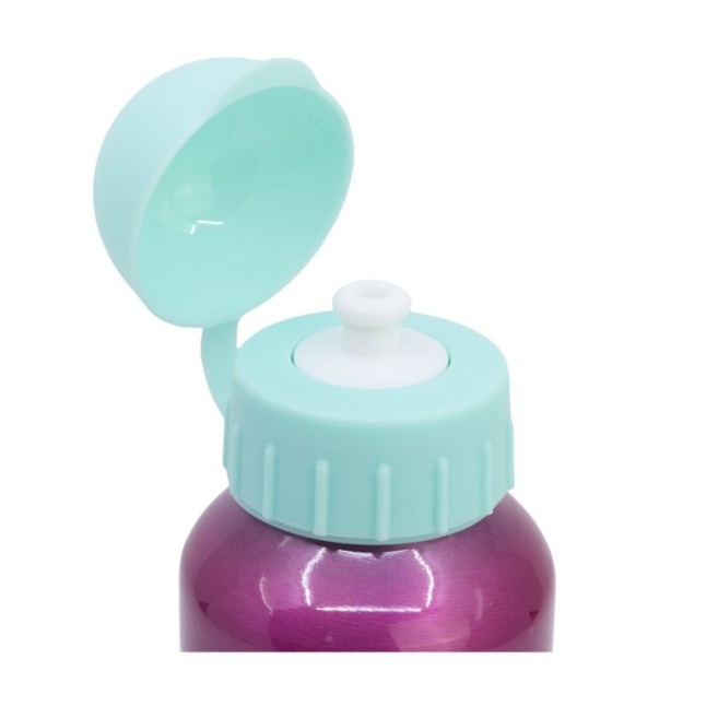 HIGH ALUMINIUM BOTTLE 530 ML PAW PATROL GIRL SUPERPOWERS