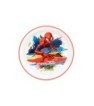 NON SLIP BICOLOR PREMIUM PLATE SPIDERMAN MOVING TARGET