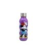 DISCOVERY LARGE PP BOTTLE 640 ML MINNIE