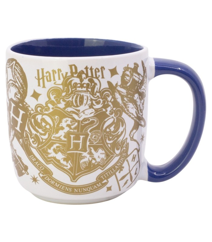 CERAMIC ELITE MUG 13 OZ IN GIFT BOX HARRY POTTER MAGIC & MAYHEM