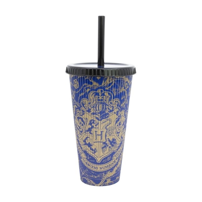 GROOVED PP STRAW TUMBLER 790 ML HARRY POTTER MAGIC & MAYHEM